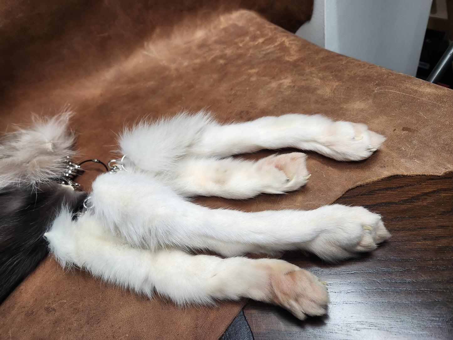 Fox or Coyote Paw Keychain
