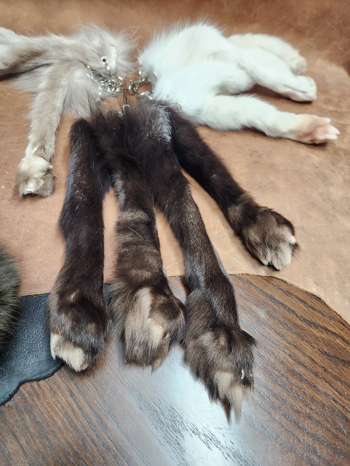 Fox or Coyote Paw Keychain