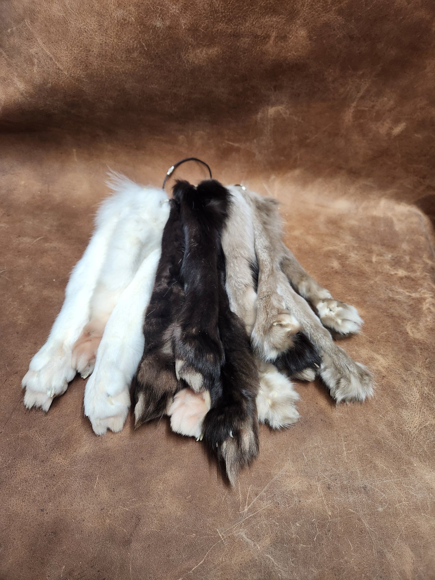 Fox or Coyote Paw Keychain