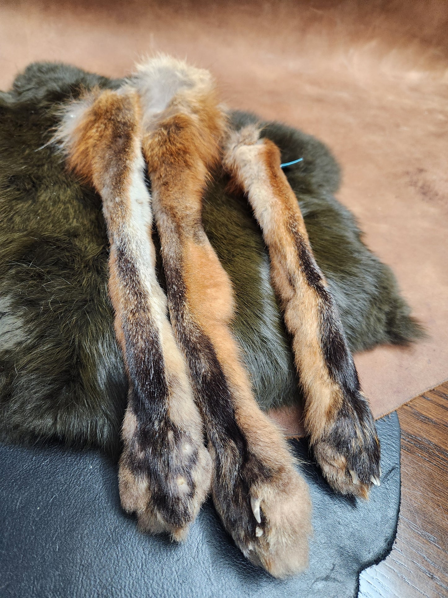 Fox or Coyote Paw Keychain