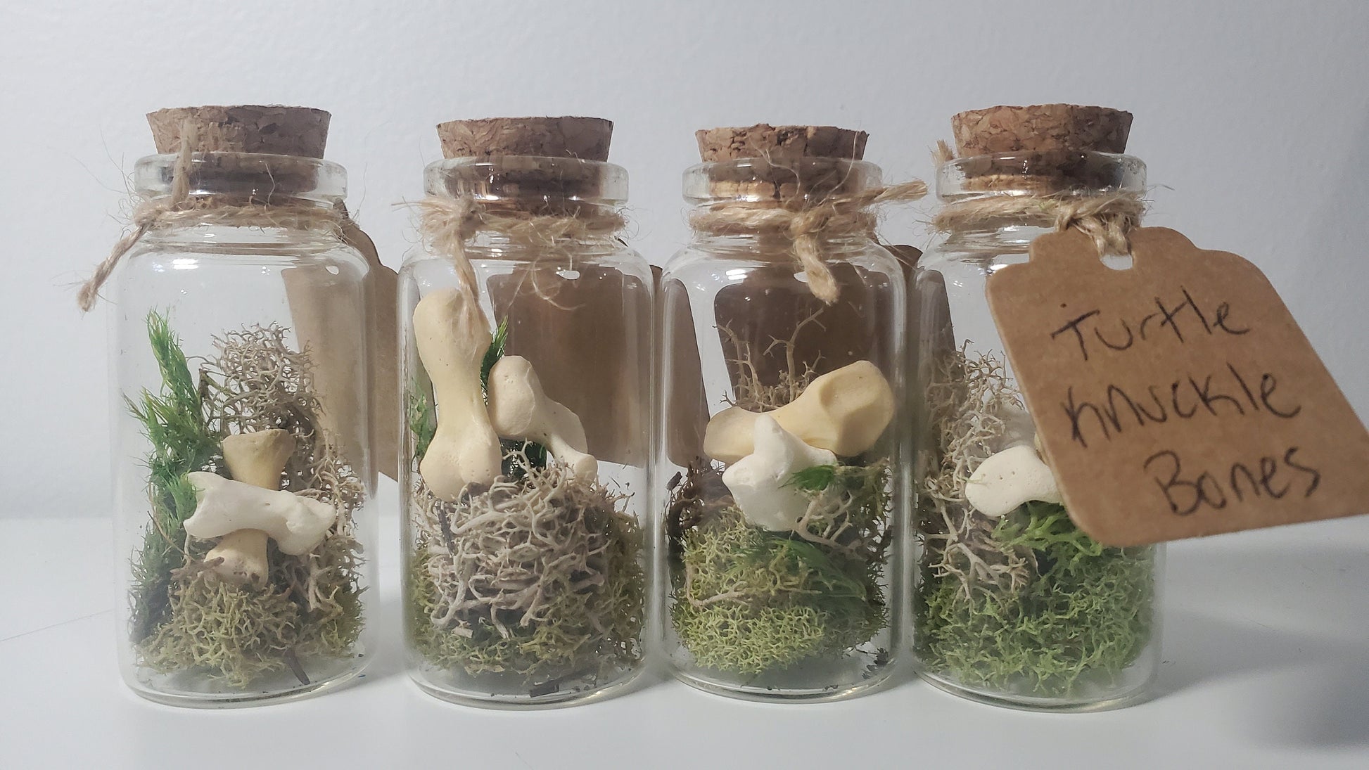 Small Curiosity Jars, 2.5" Tall Various Collector's Vulture Culture Terrarium Oddities, Bones, Teeth, Quills, and More