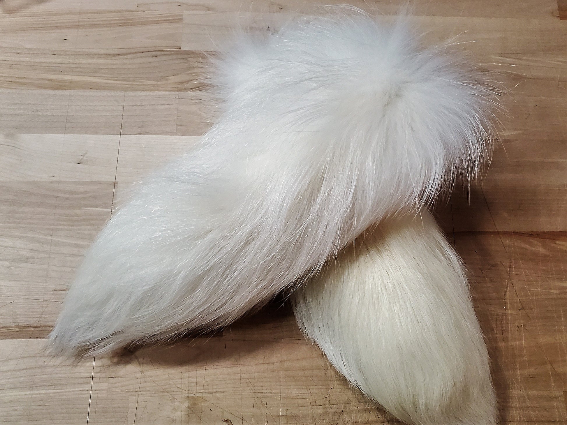 11"-13" White Tanuki Tail Keychain, Real Taxidermy Finn Raccoon Tail, Super Fluffy Long and Plush Genuine Fur