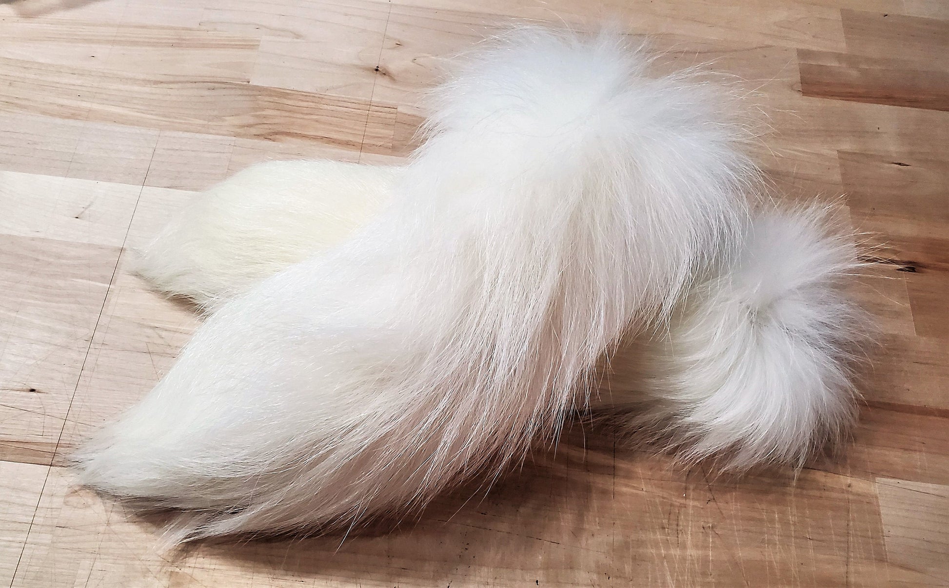 11"-13" White Tanuki Tail Keychain, Real Taxidermy Finn Raccoon Tail, Super Fluffy Long and Plush Genuine Fur