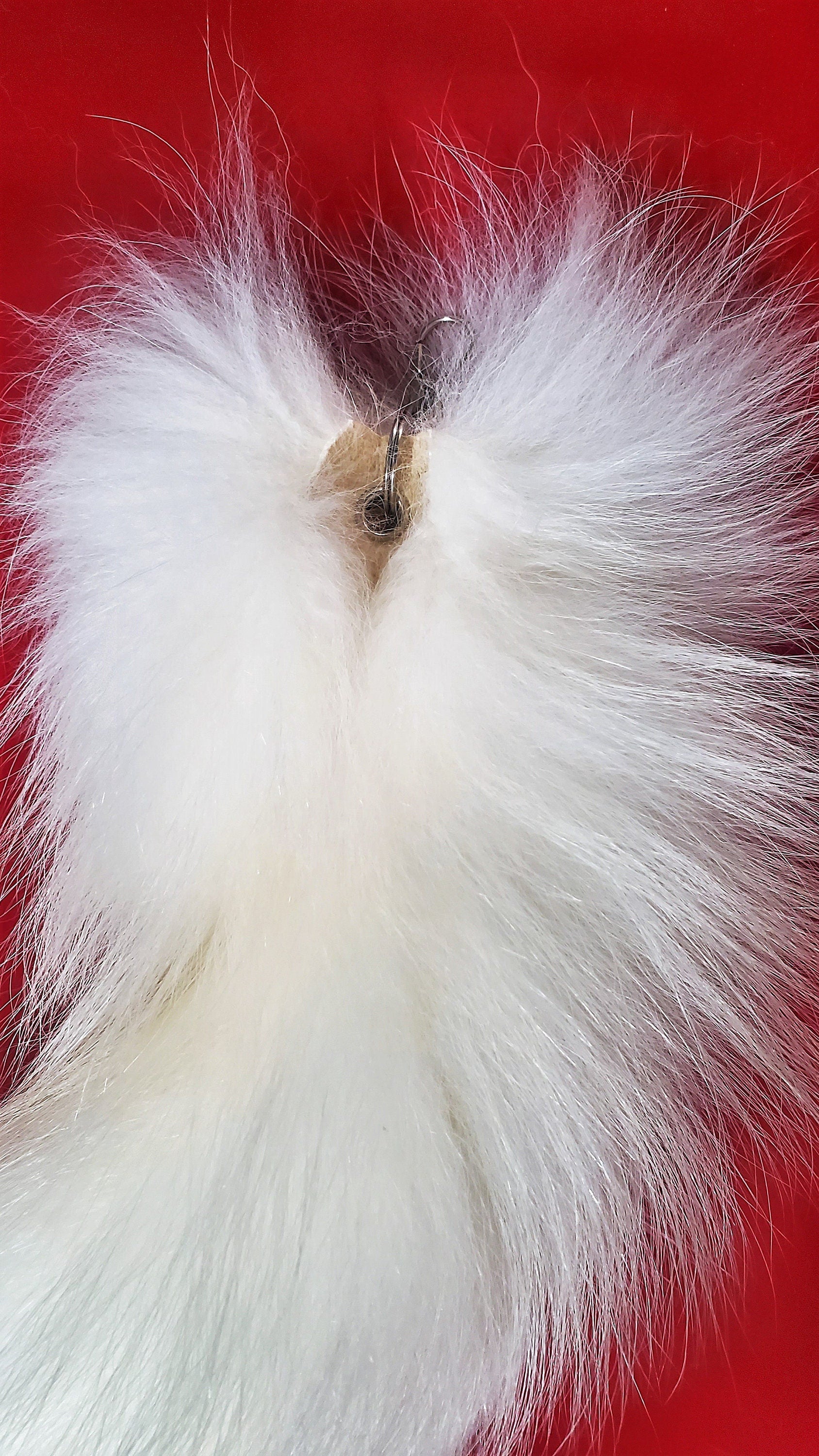 11"-13" White Tanuki Tail Keychain, Real Taxidermy Finn Raccoon Tail, Super Fluffy Long and Plush Genuine Fur