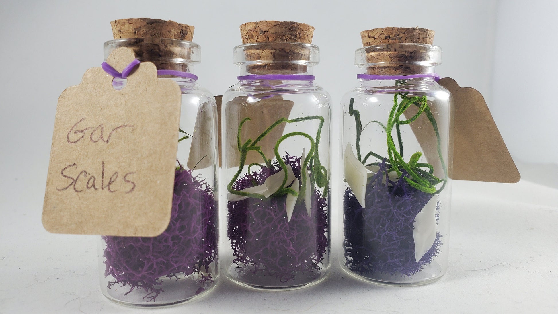 Small Curiosity Jars, 2.5" Tall Various Collector's Vulture Culture Terrarium Oddities, Bones, Teeth, Quills, and More