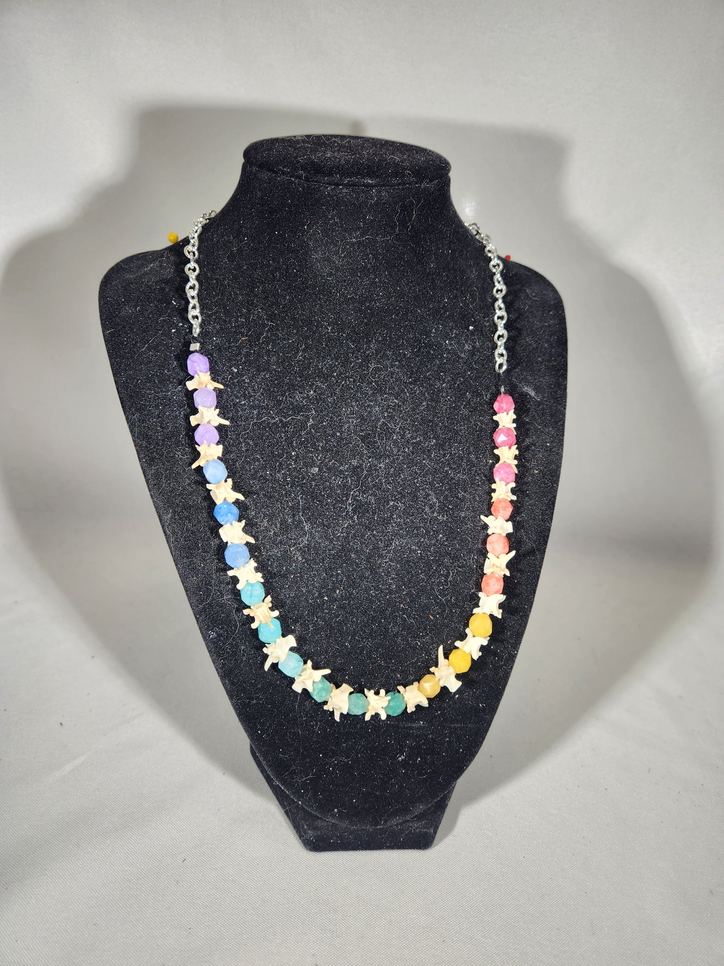 Rainbow Quartz and Rattlesnake Vertebrae Necklace