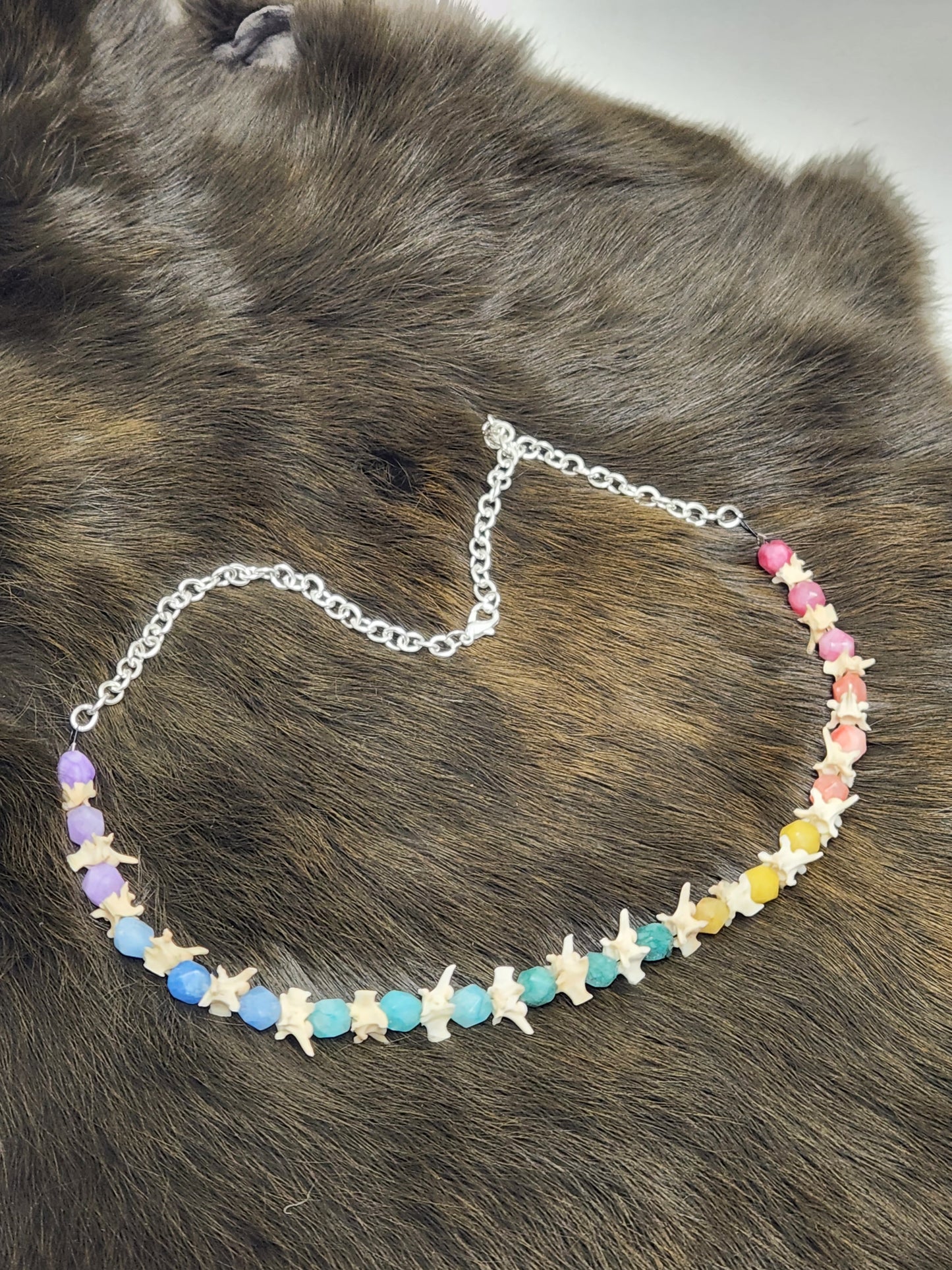 Rainbow Quartz and Rattlesnake Vertebrae Necklace