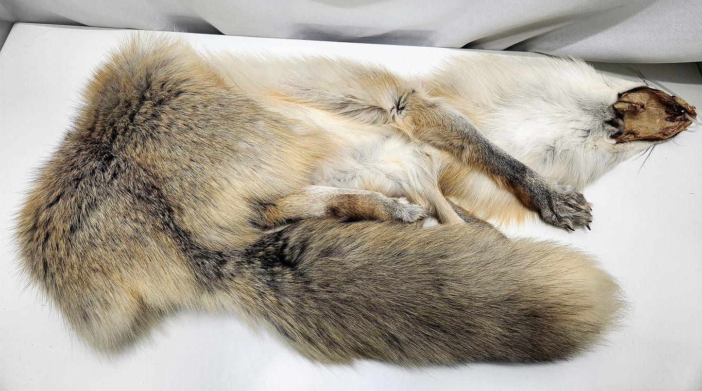 Golden Island Fox Pelt