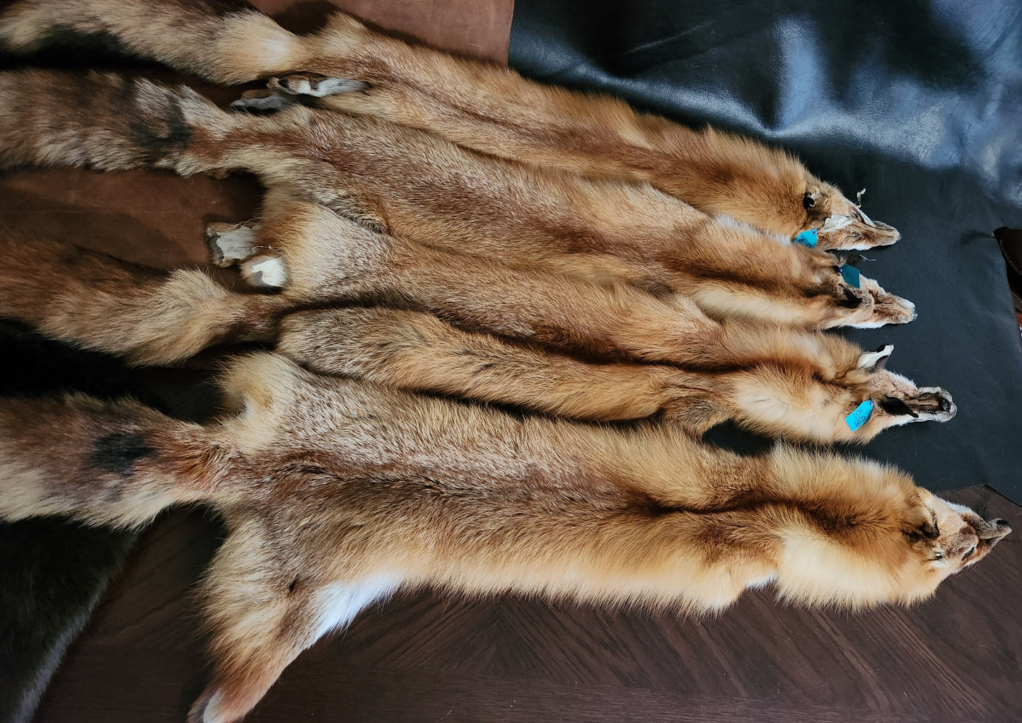 Red Fox Pelts