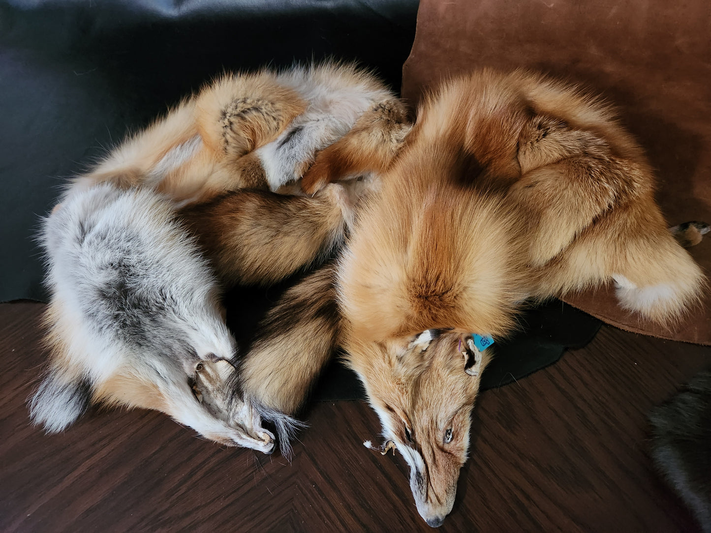 Red Fox Pelts