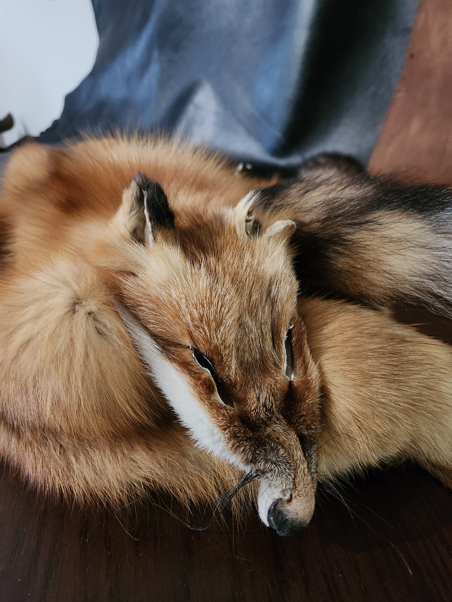 Red Fox Pelts