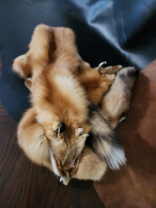 Red Fox Pelts