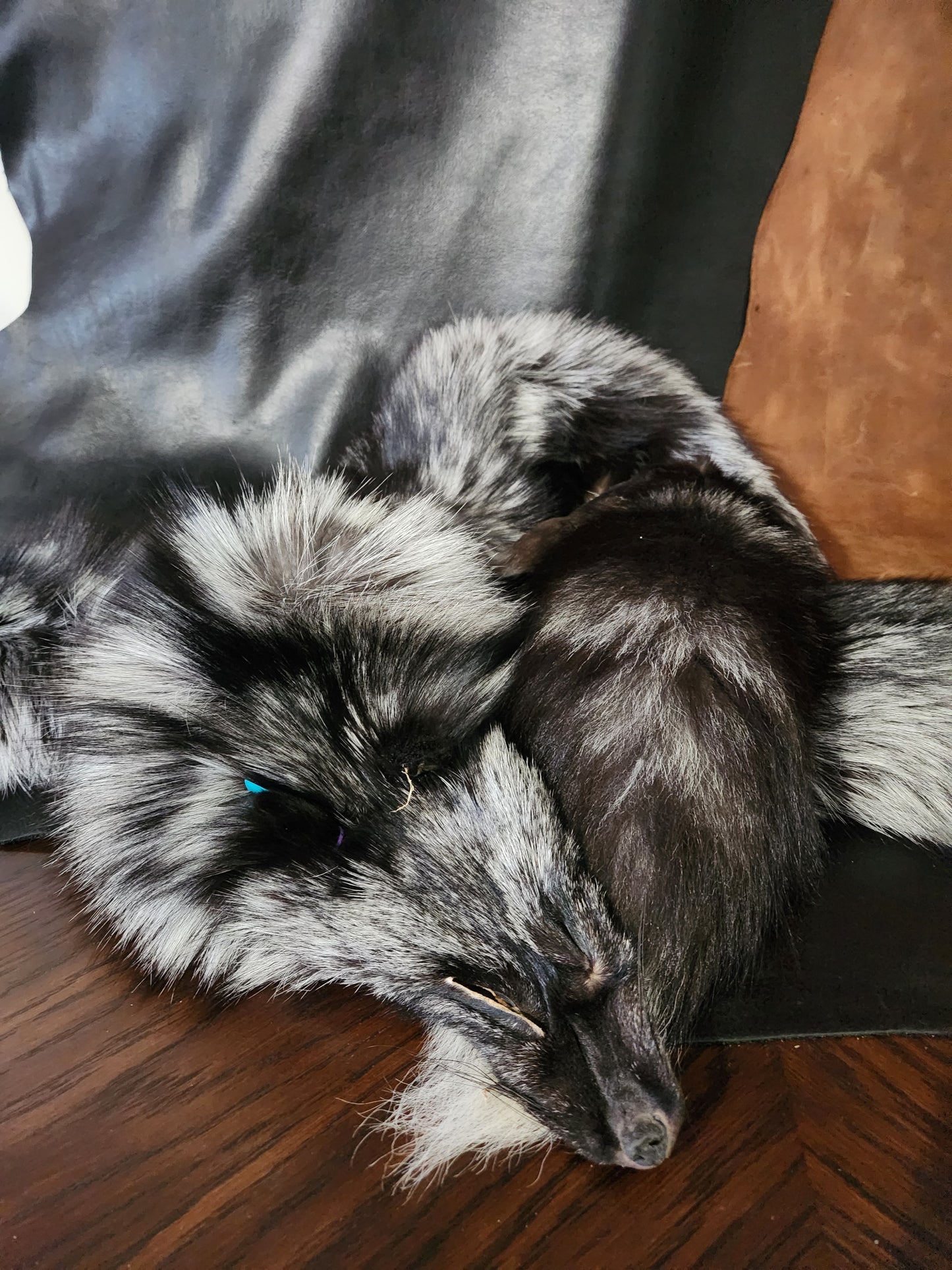 Silver Fox Pelts