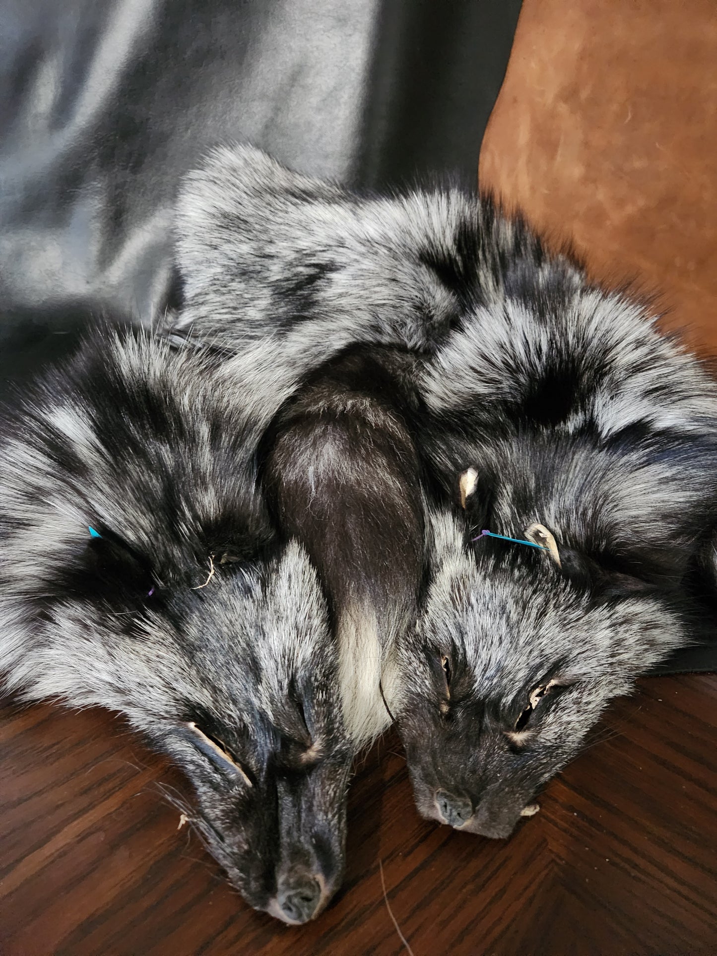 Silver Fox Pelts