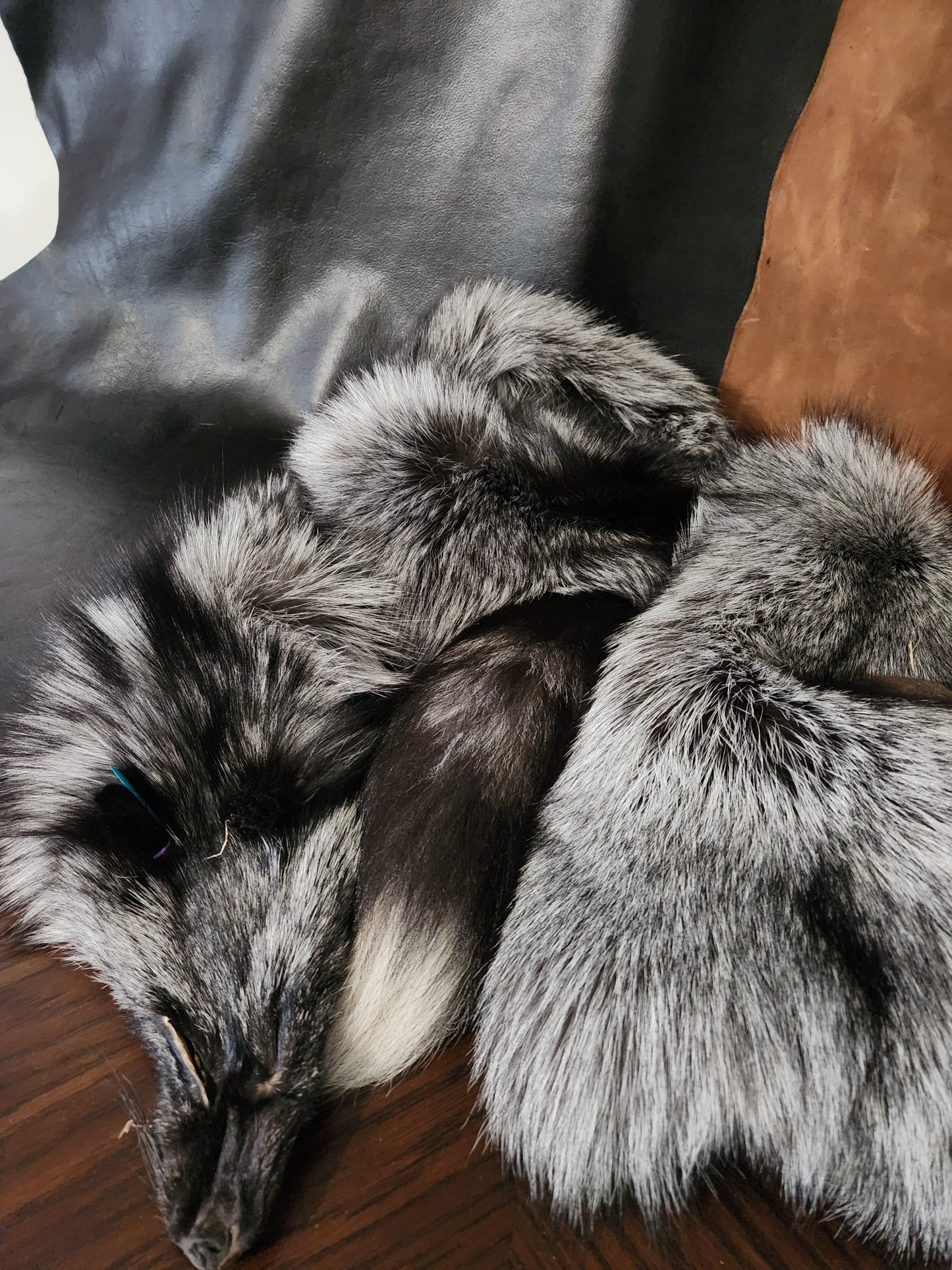 Silver Fox Pelts