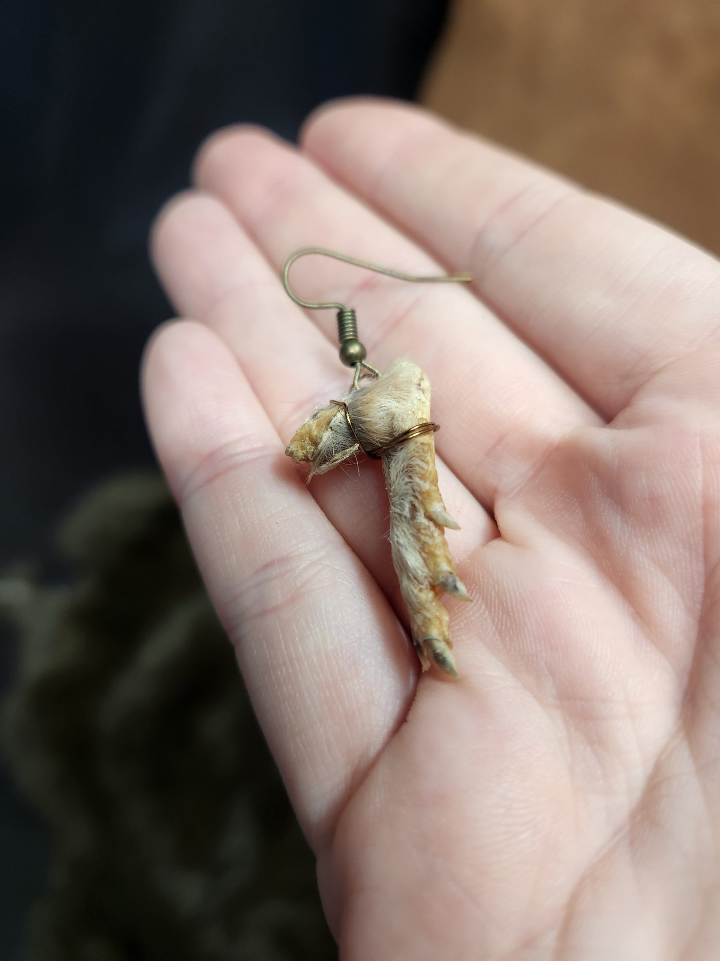 Taxidermy Pocket Gopher Feet Dangle Earrings