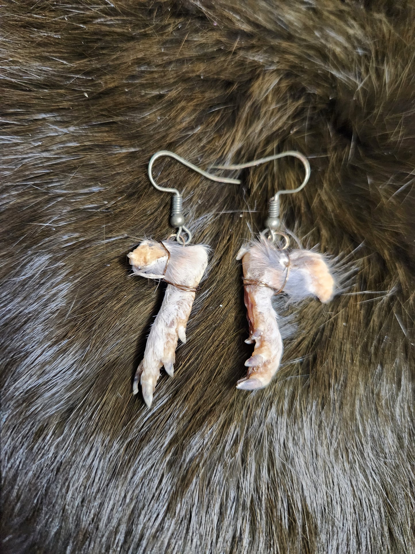 Taxidermy Pocket Gopher Feet Dangle Earrings