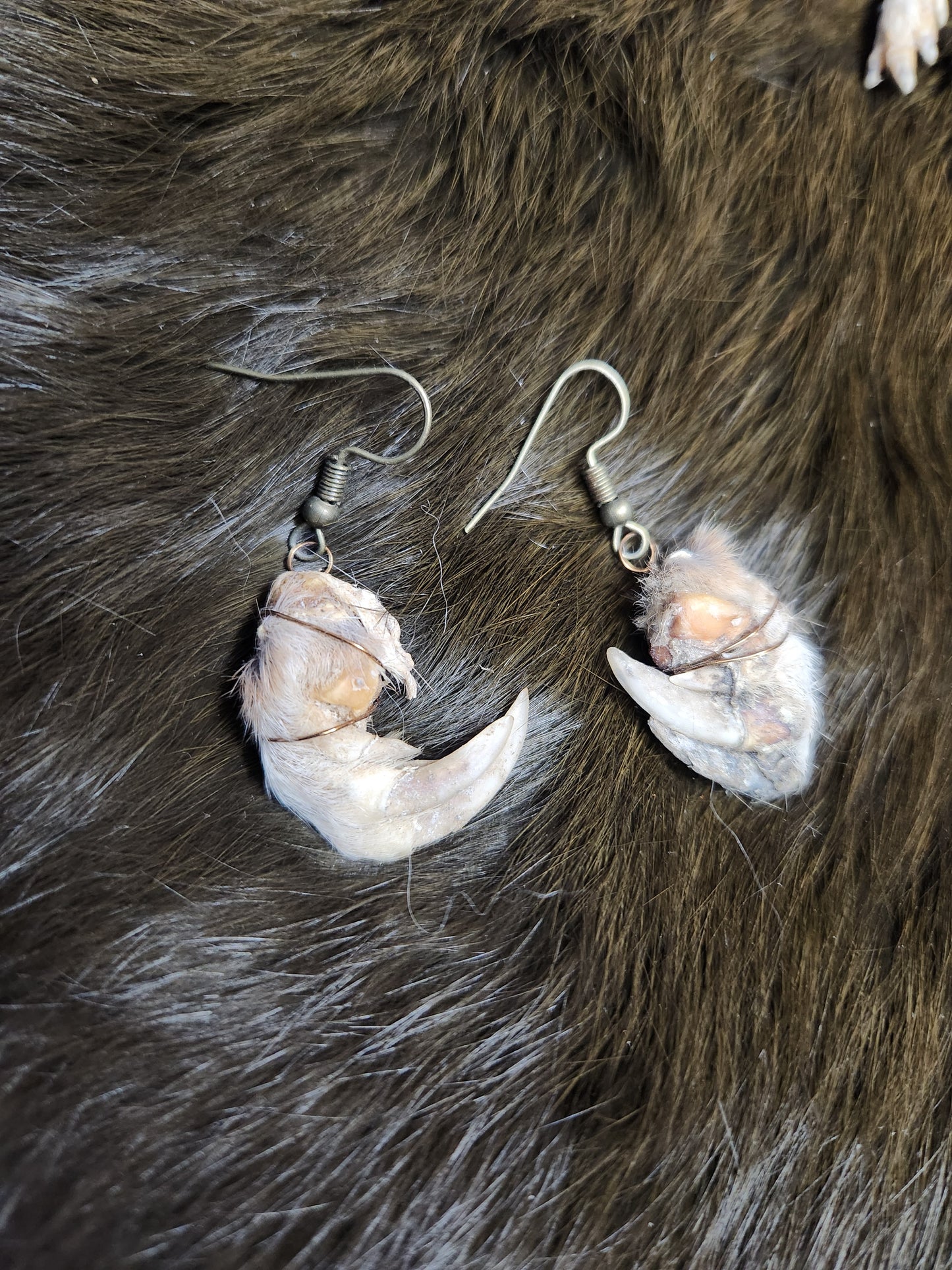 Taxidermy Pocket Gopher Feet Dangle Earrings