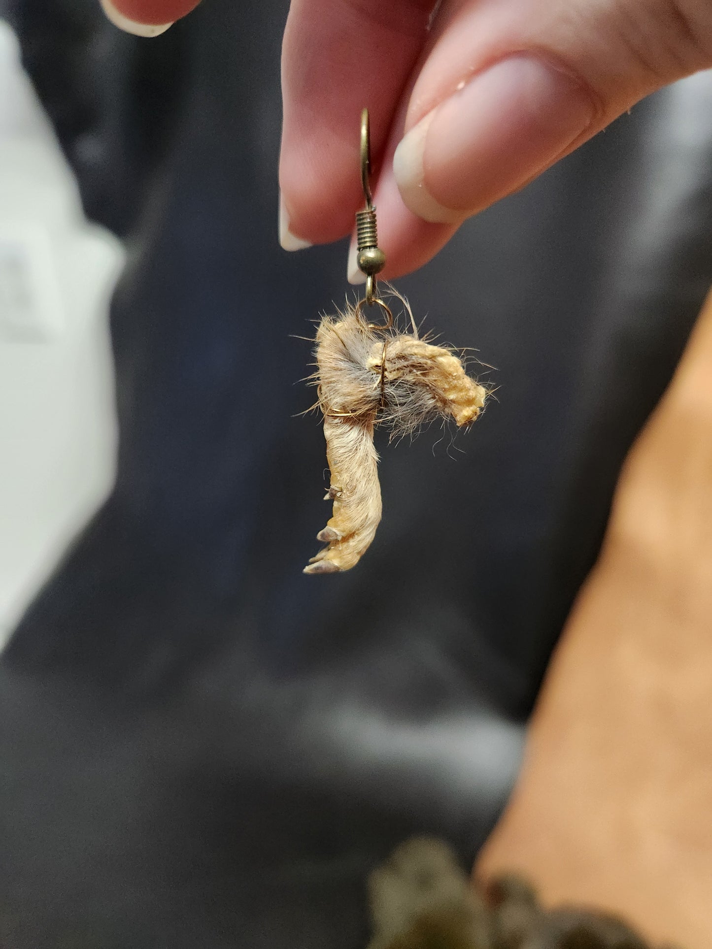 Taxidermy Pocket Gopher Feet Dangle Earrings