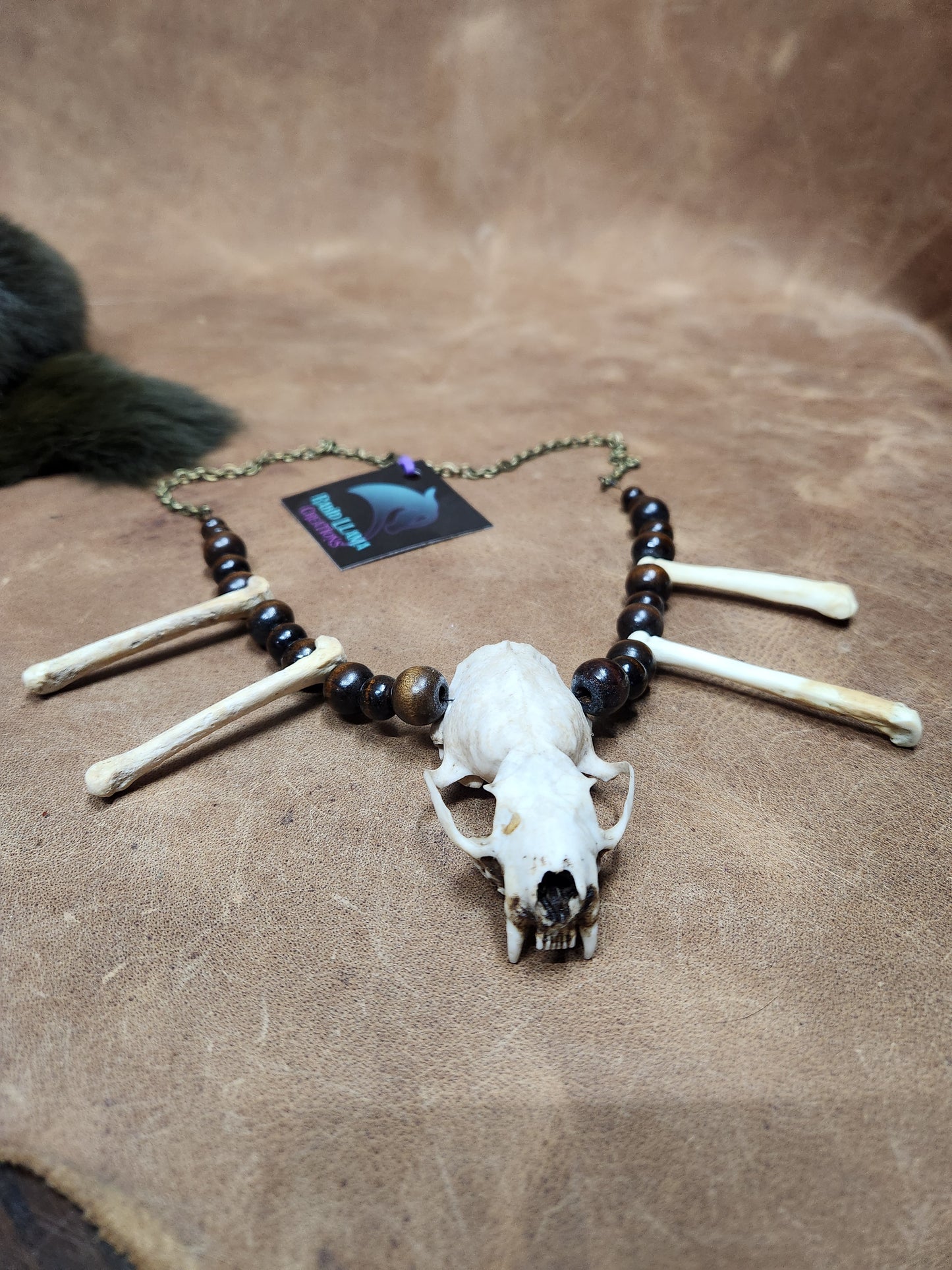 Mink skull, Coyote Foot Bone, and Wooden Bead Necklace