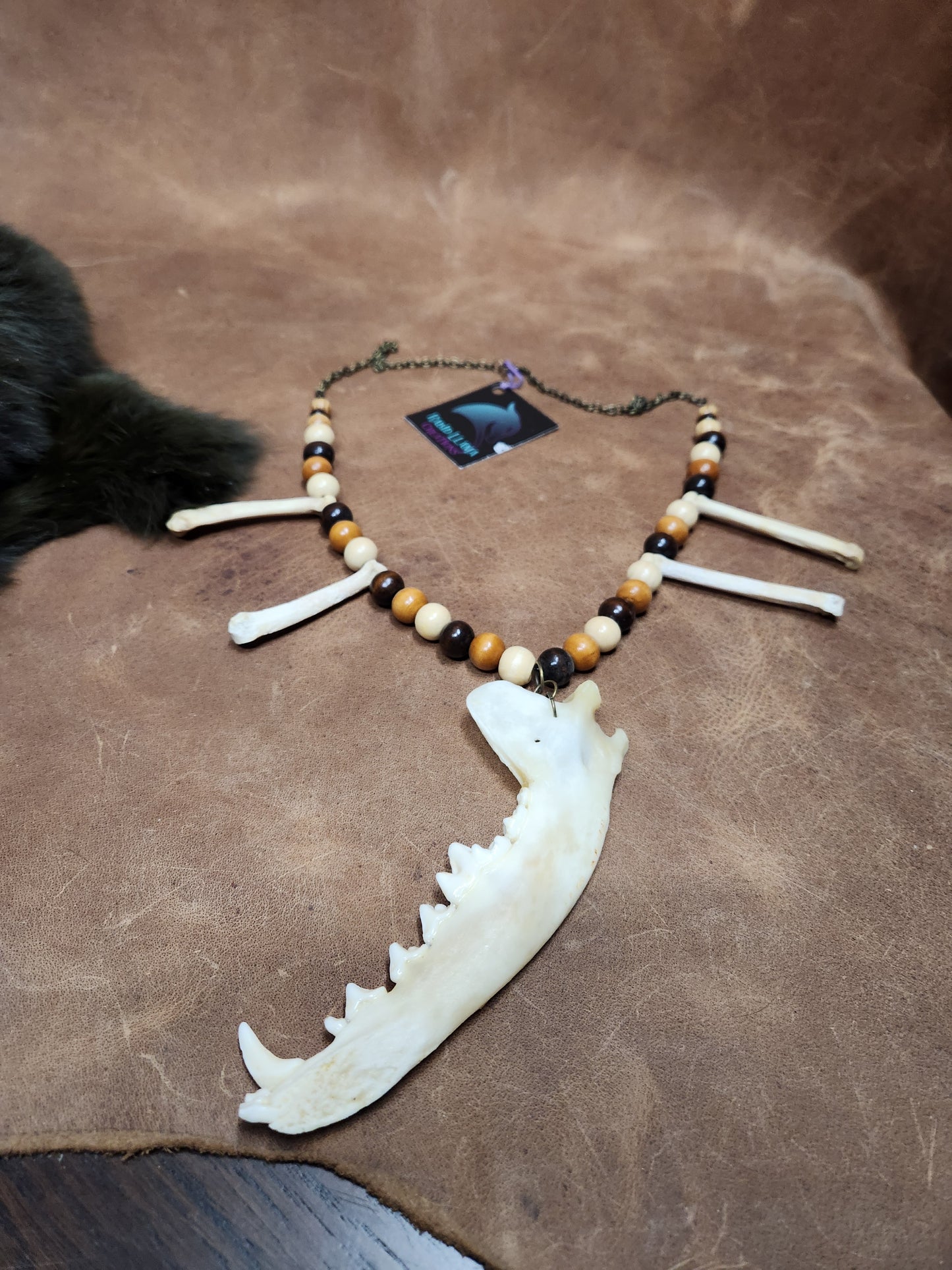 Coyote Jaw, Coyote Foot Bones, and Wooden Bead Necklace