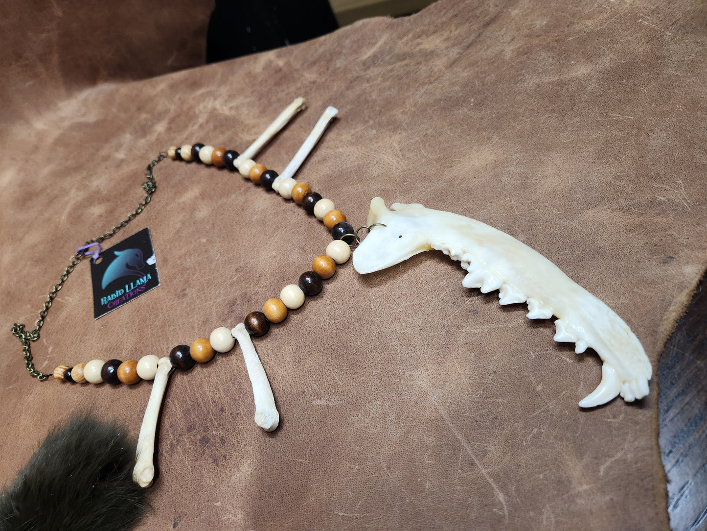 Coyote Jaw, Coyote Foot Bones, and Wooden Bead Necklace