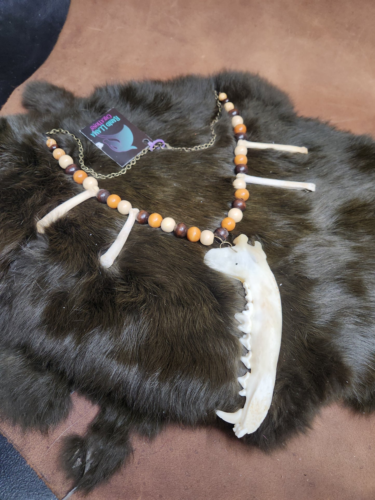 Coyote Jaw, Coyote Foot Bones, and Wooden Bead Necklace