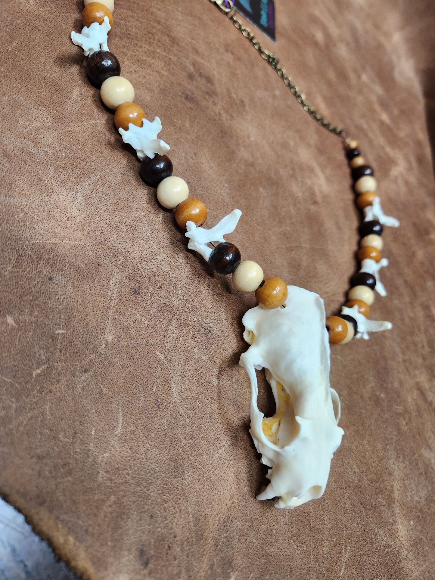 Mink skull, Mink Vertebrae, and Wooden Bead Necklace