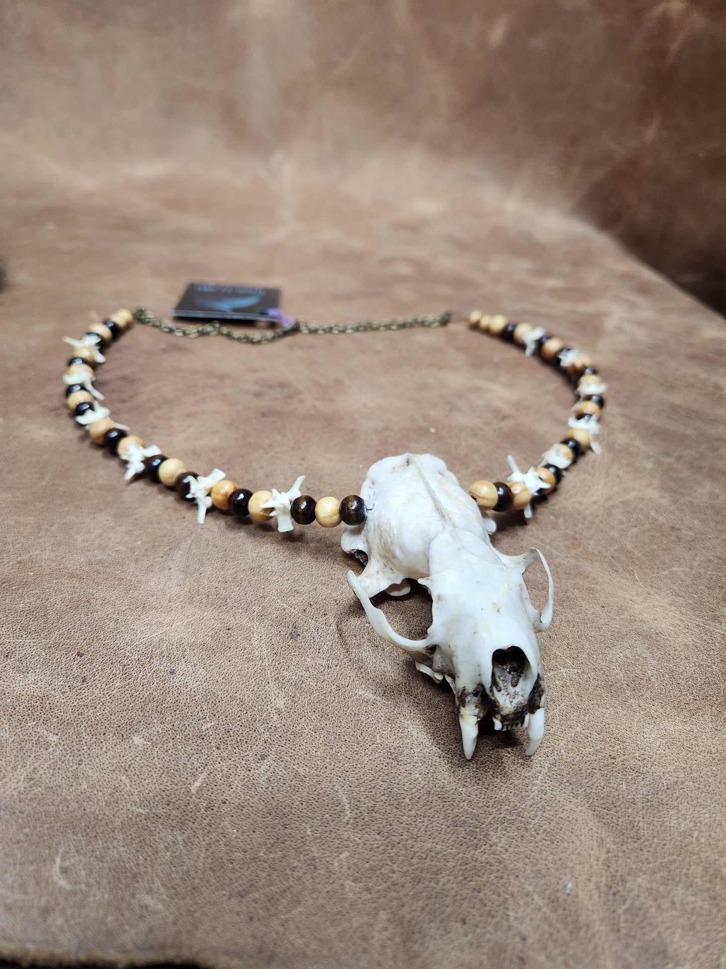 Mink skull, Rattlesnake Vertebrae, and Wooden Bead Necklace