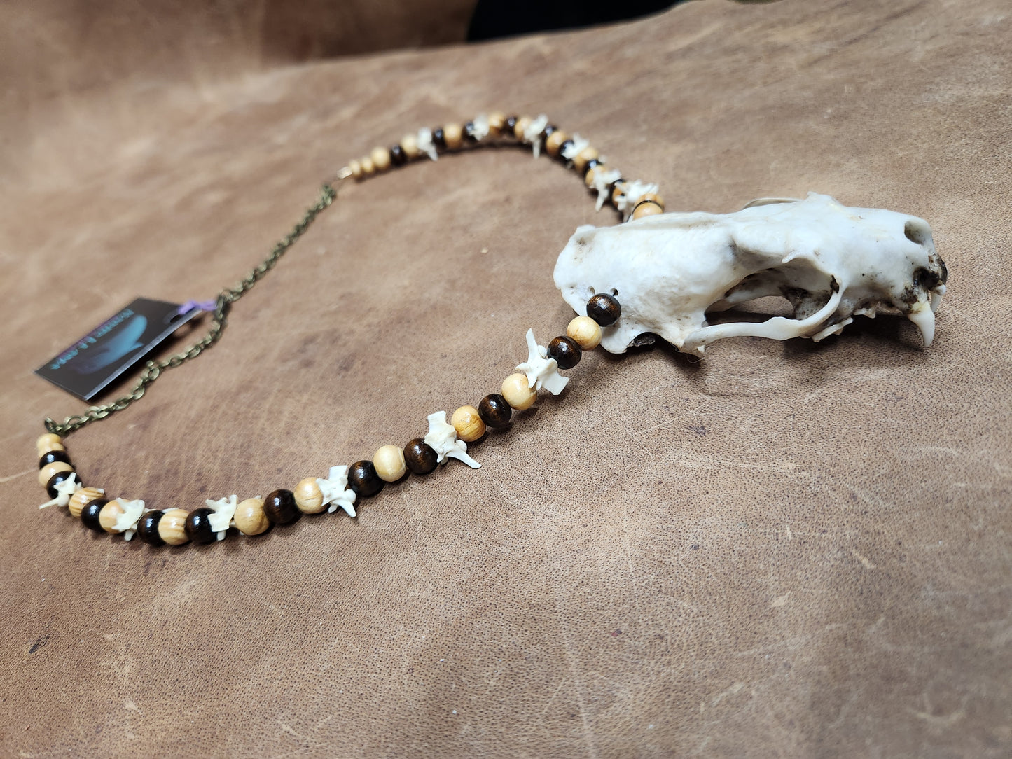 Mink skull, Rattlesnake Vertebrae, and Wooden Bead Necklace