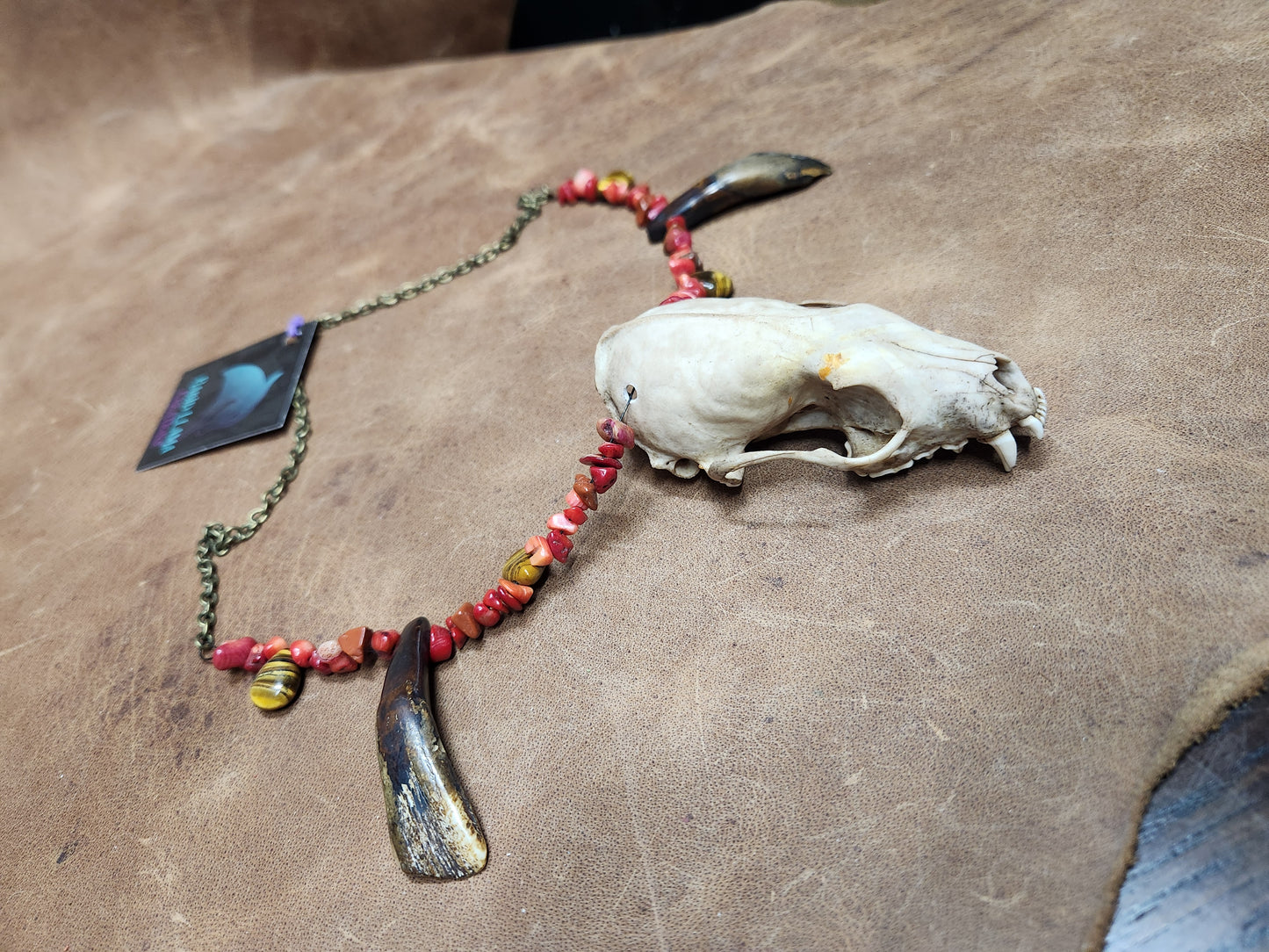 Mink skull, Buffalo Tooth, Tiger's Eye, and Red Stone Chip Necklace