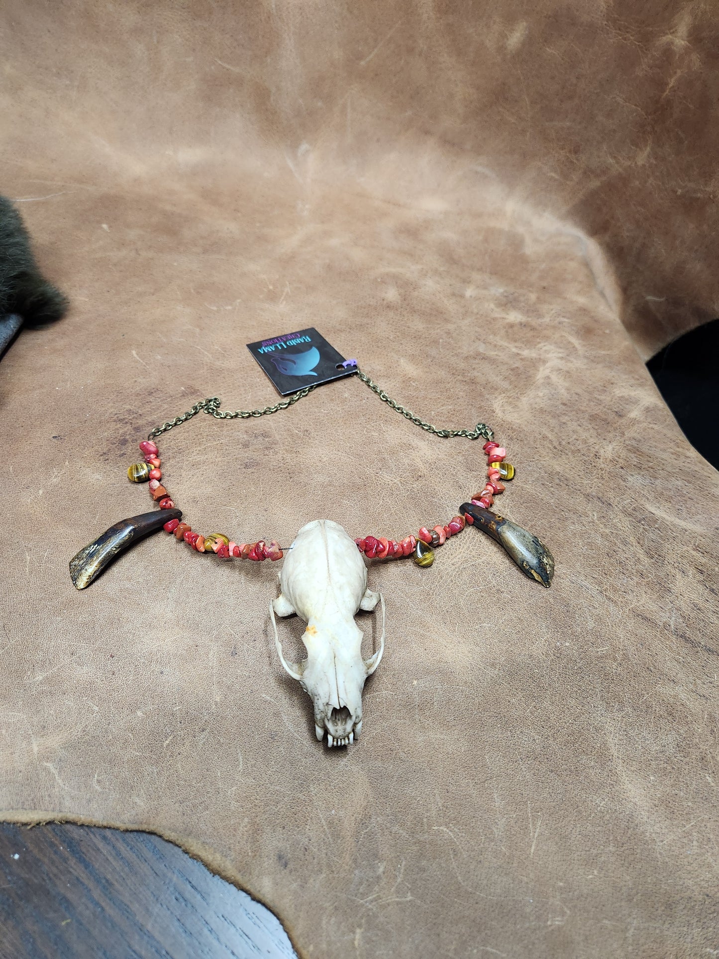 Mink skull, Buffalo Tooth, Tiger's Eye, and Red Stone Chip Necklace