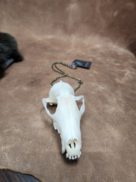 Bleached Fox Skull Necklace