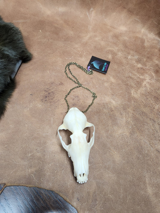 Bleached Fox Skull Necklace