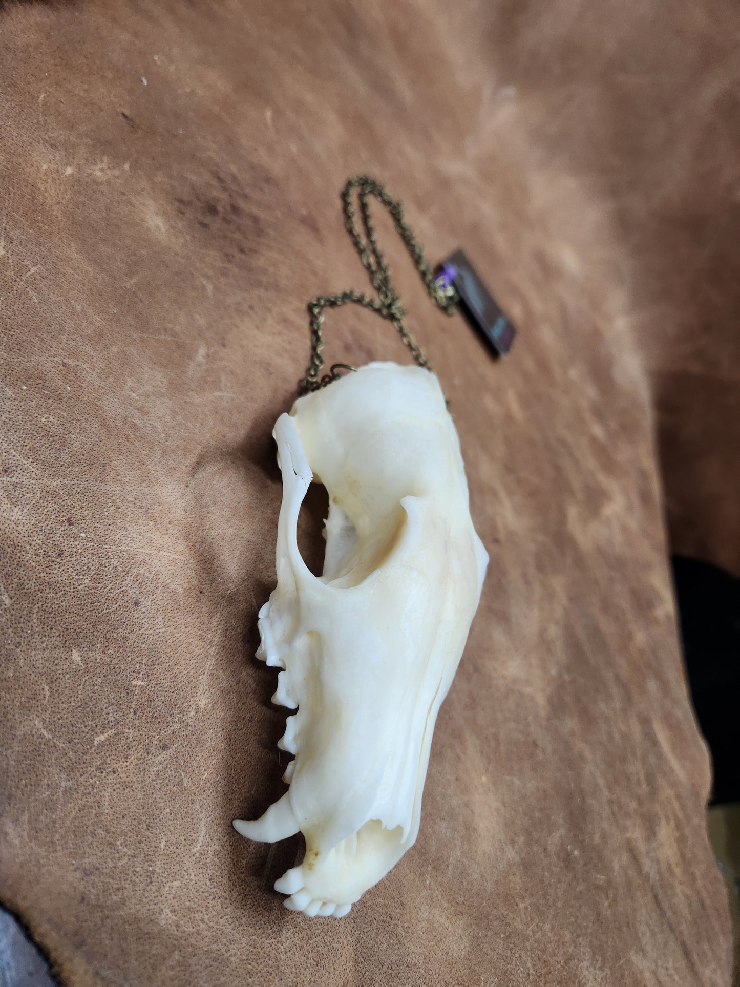 Bleached Fox Skull Necklace