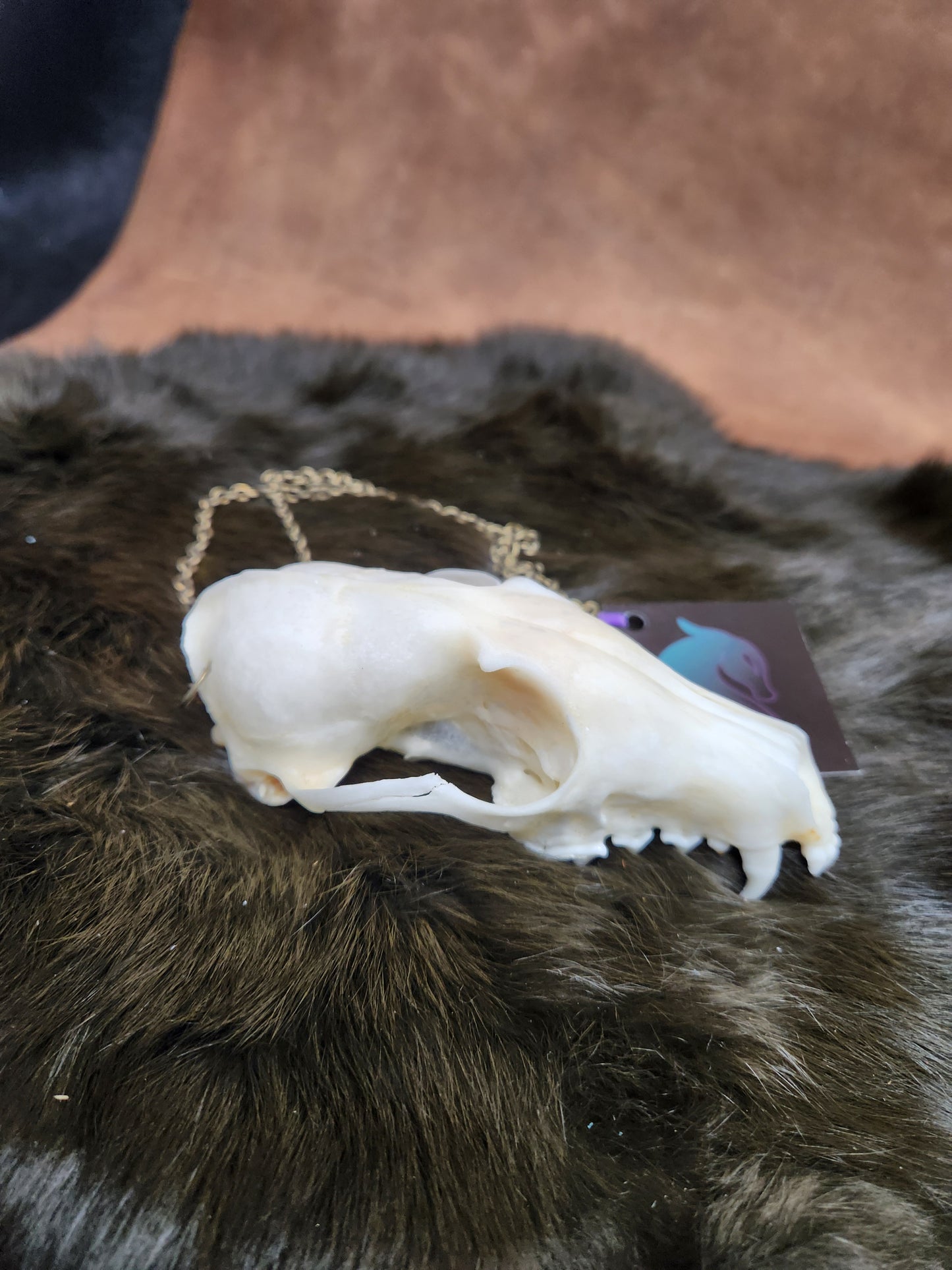 Bleached Fox Skull Necklace