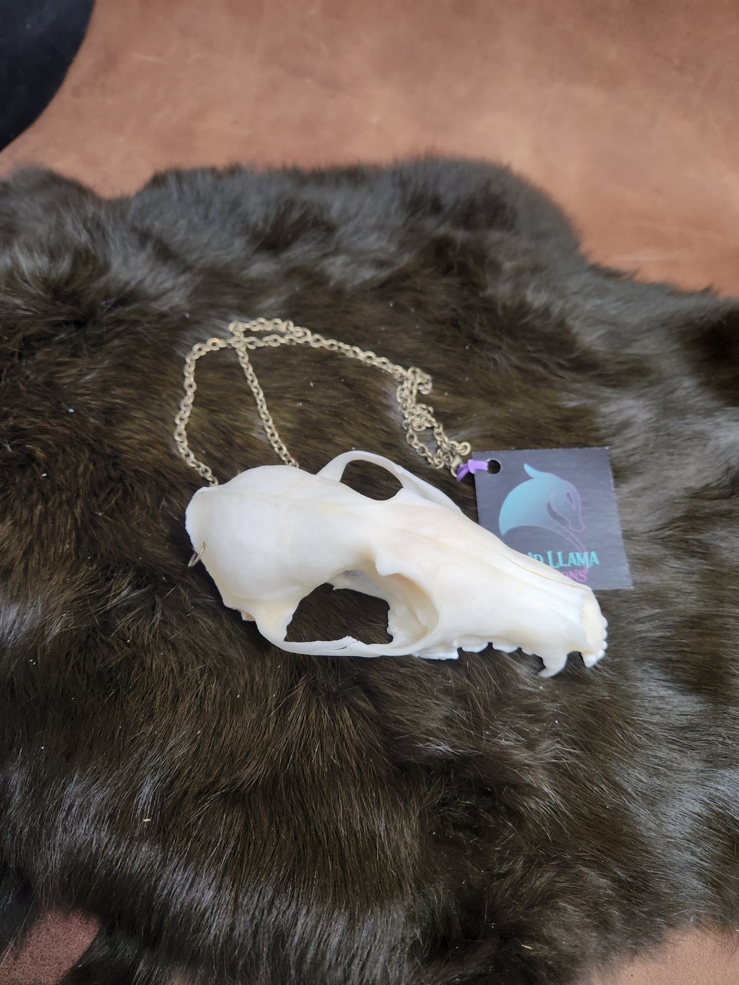 Bleached Fox Skull Necklace