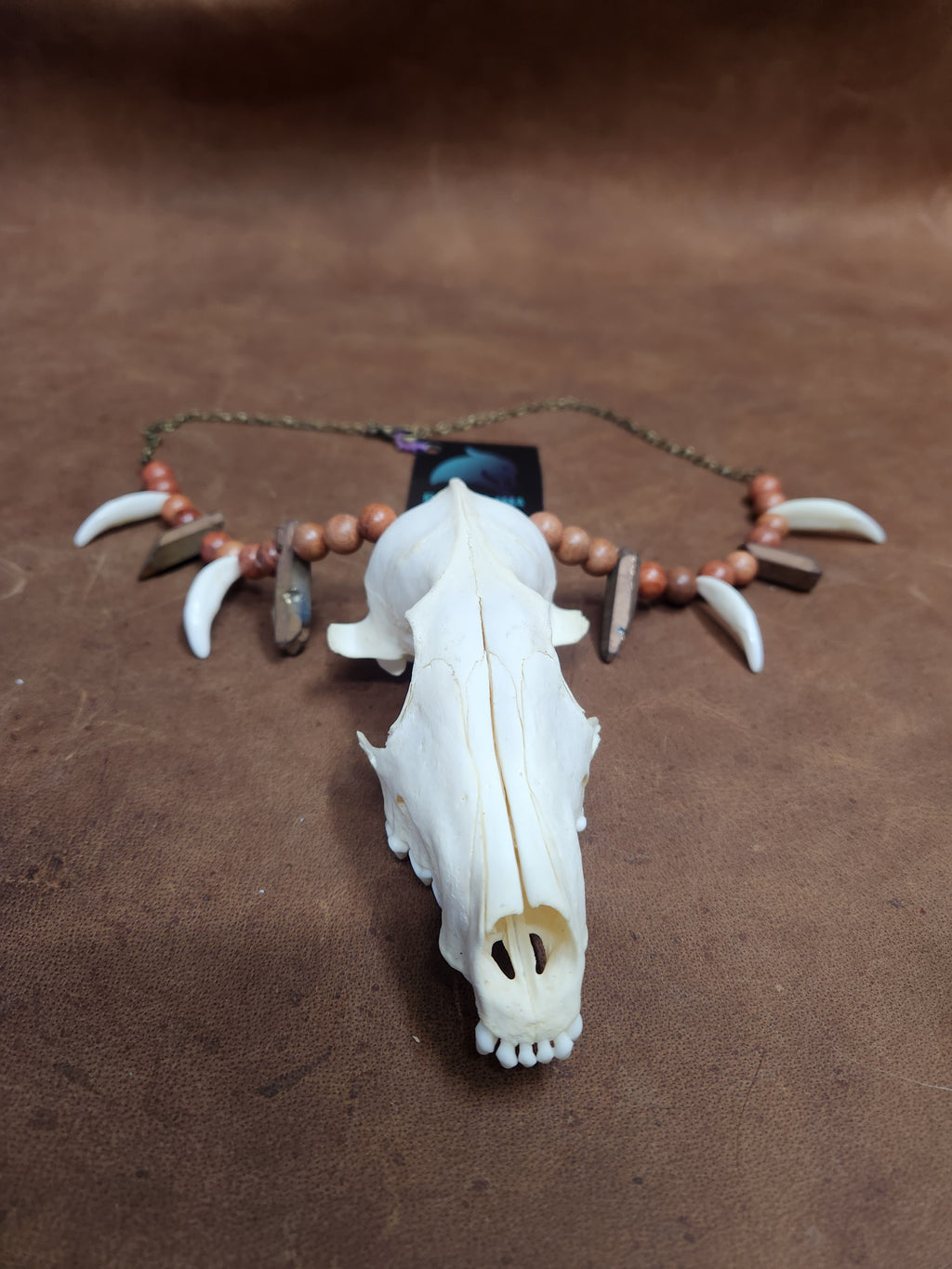 Fox Skull, Canine Tooth, Stone and Wooden Bead Necklace