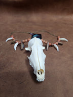 Fox Skull, Canine Tooth, Stone and Wooden Bead Necklace