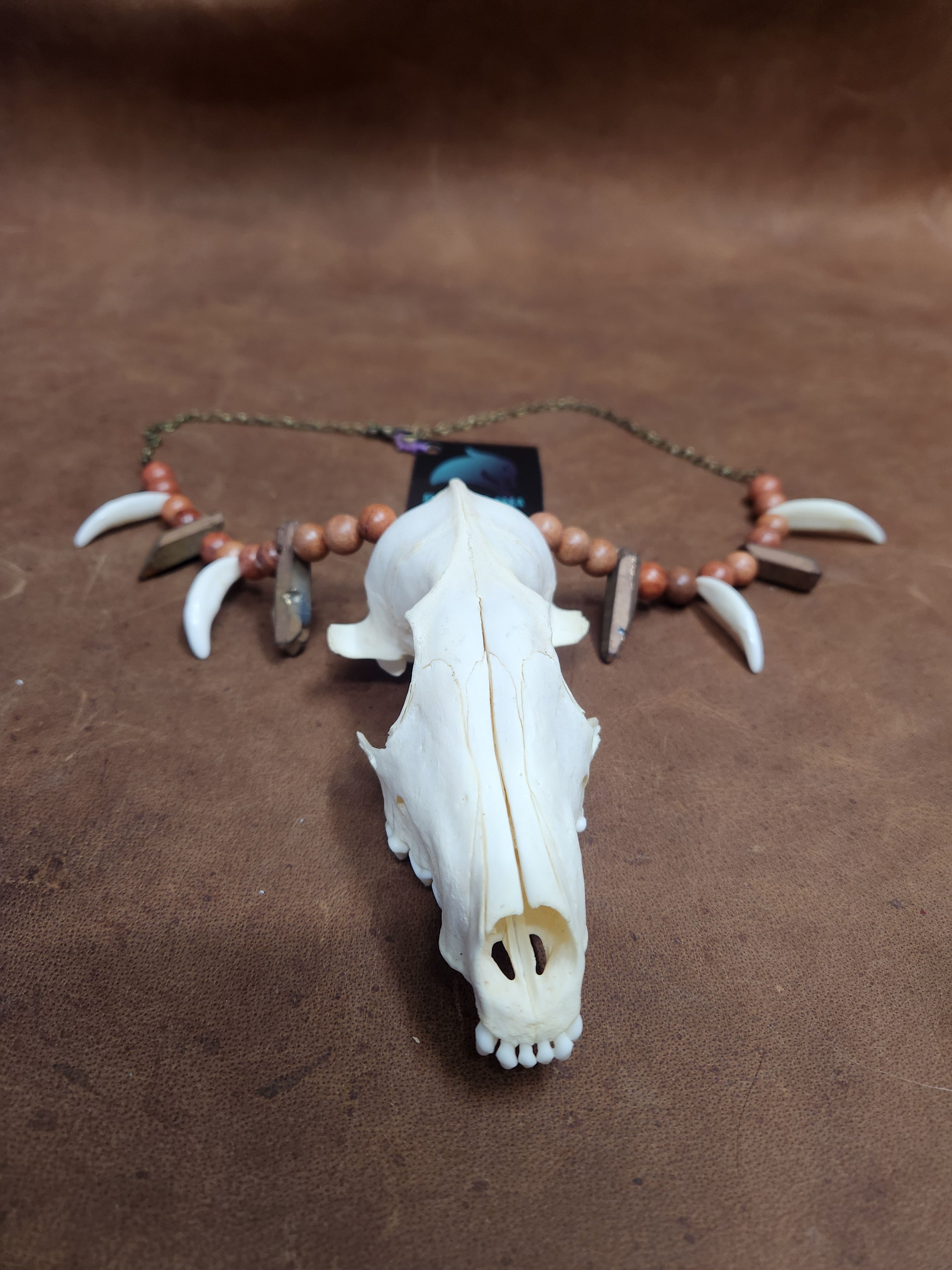 Fox Skull, Canine Tooth, Stone and Wooden Bead Necklace