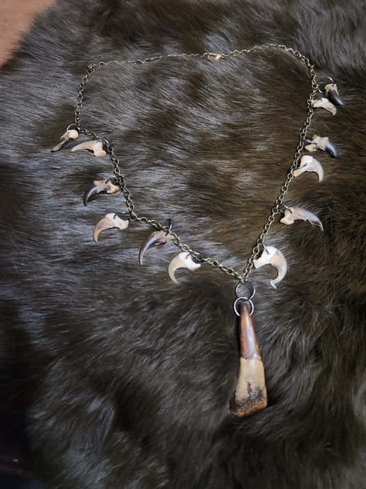 Buffalo Tooth, Bobcat Claw, and Coyote Claw 20" Necklace