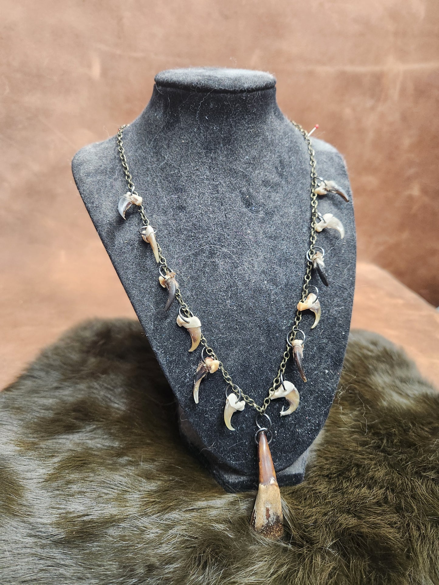 Buffalo Tooth, Bobcat Claw, and Coyote Claw 20" Necklace