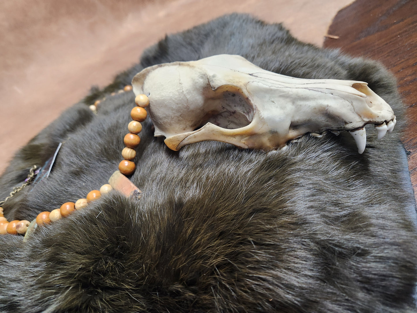 Coyote Skull, Stone and Wood Bead Necklace