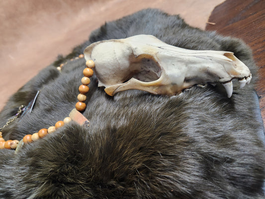 Coyote Skull, Stone and Wood Bead Necklace