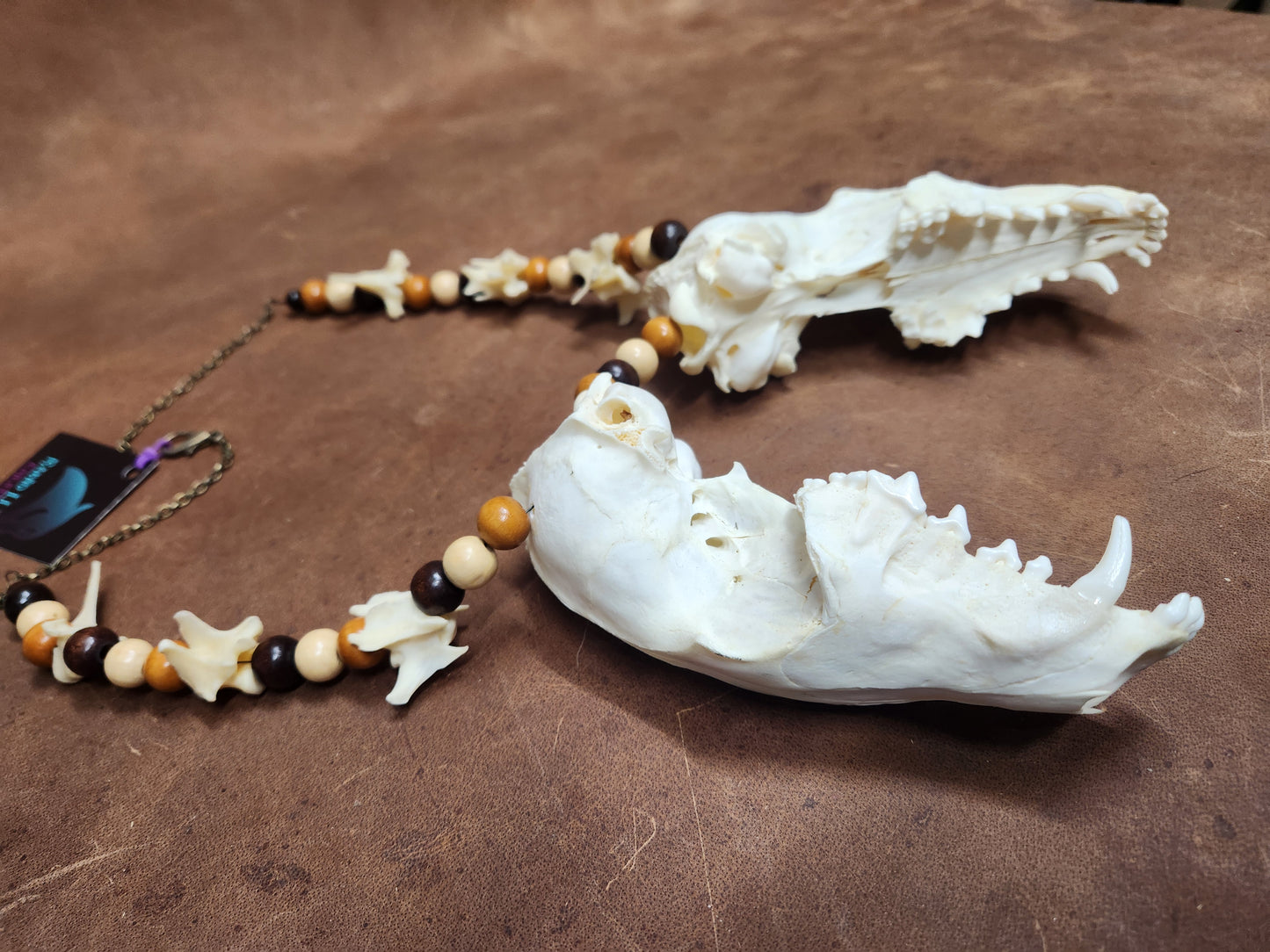 Double Fox Skull, Fox Vertebrae, and Wooden Bead Necklace