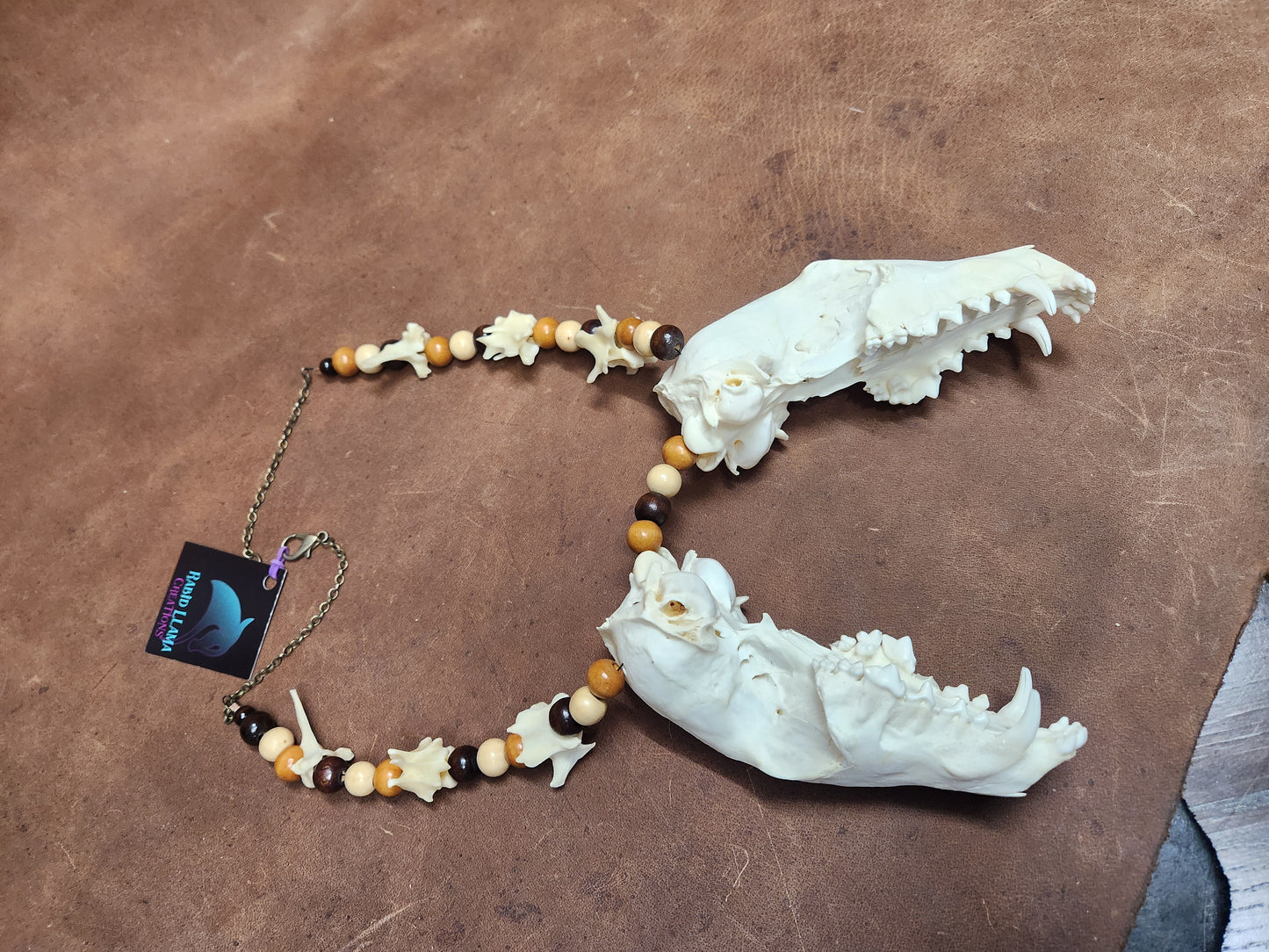 Double Fox Skull, Fox Vertebrae, and Wooden Bead Necklace