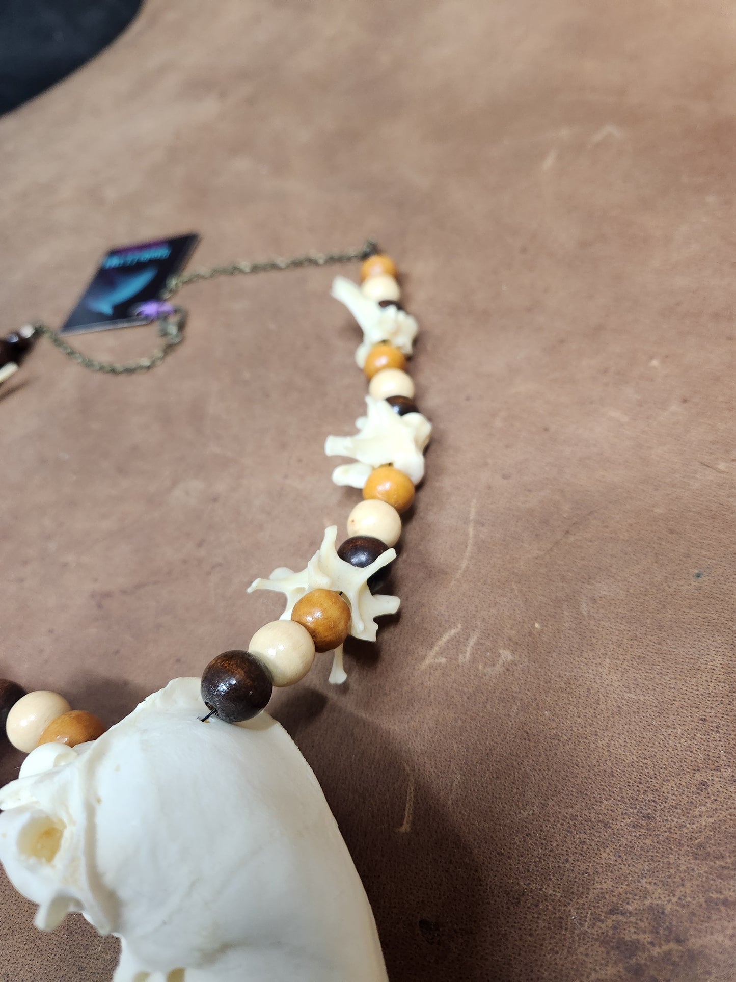 Double Fox Skull, Fox Vertebrae, and Wooden Bead Necklace