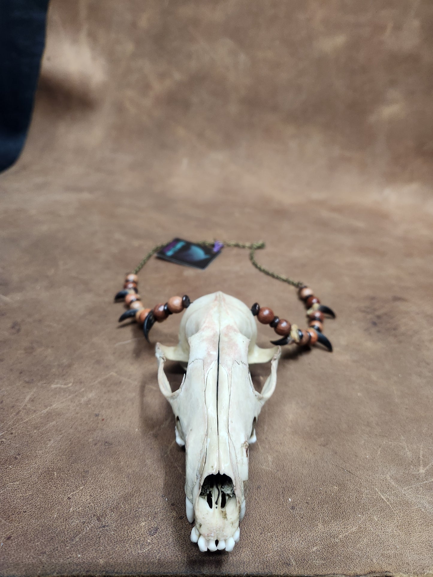 Fox Skull and Coyote Claw with Wooden Beads Necklace