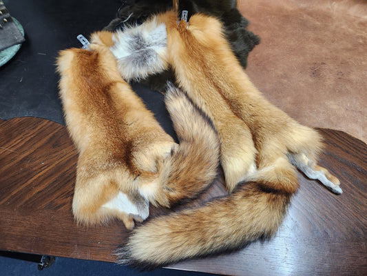 Red Fox Stole