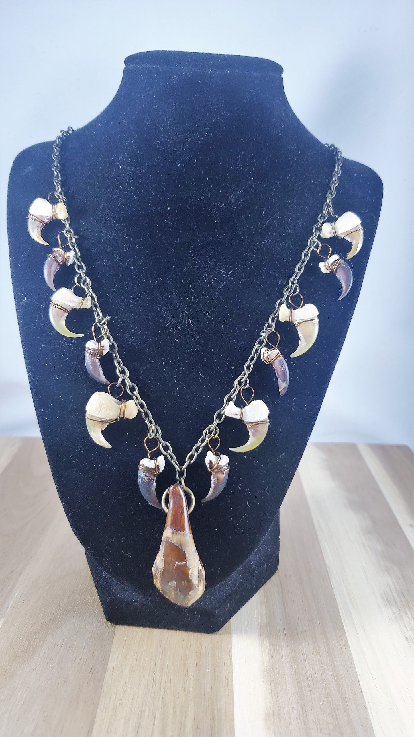 Buffalo Tooth, Bobcat Claw, and Coyote Claw 20" Necklace